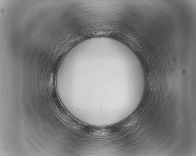 X0000053070550200508081222