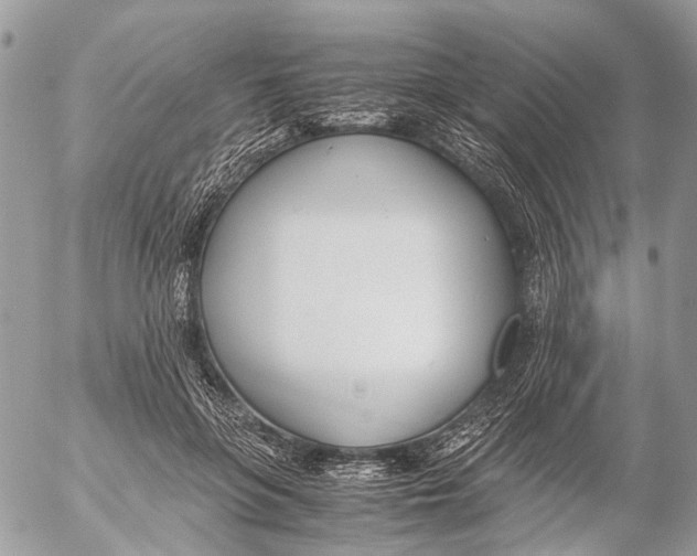 X0000053070551200508081222