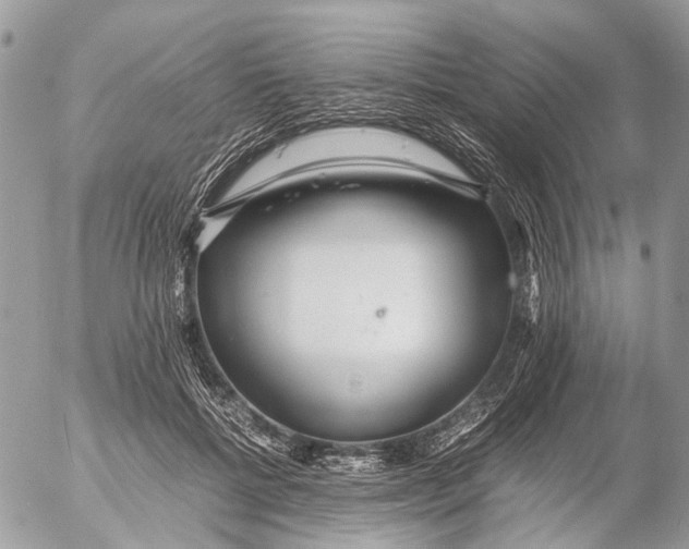 X0000053070552200508081222