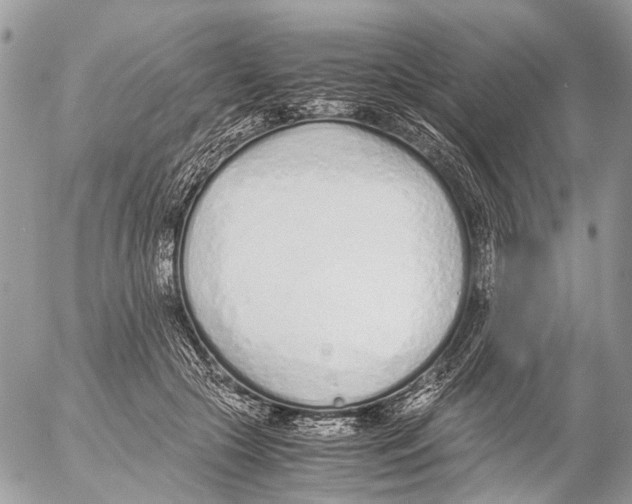 X0000053070553200508081222