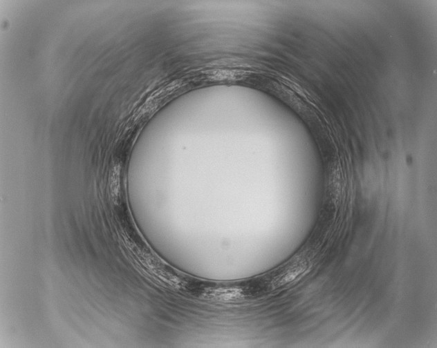 X0000053070554200508081222