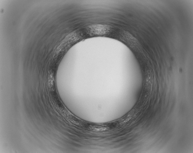 X0000053070555200508081222