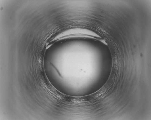 X0000053070556200508081222