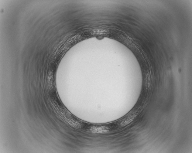 X0000053070557200508081222