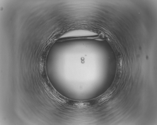 X0000053070558200508081222