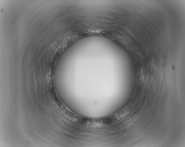 X0000053070559200508081222