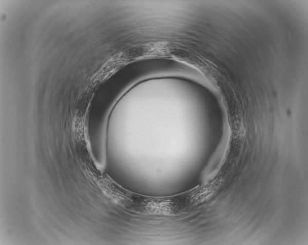 X0000053070560200508081222