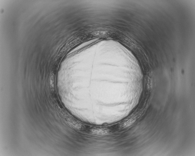 X0000053070561200508081222