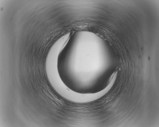 X0000053070562200508081223