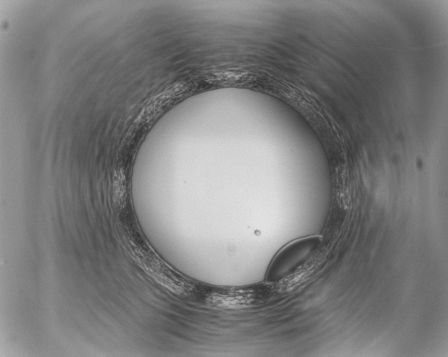 X0000053070563200508081223