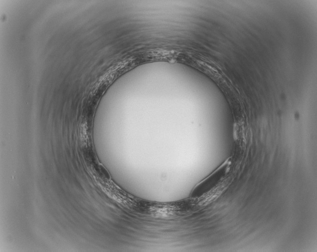 X0000053070564200508081223