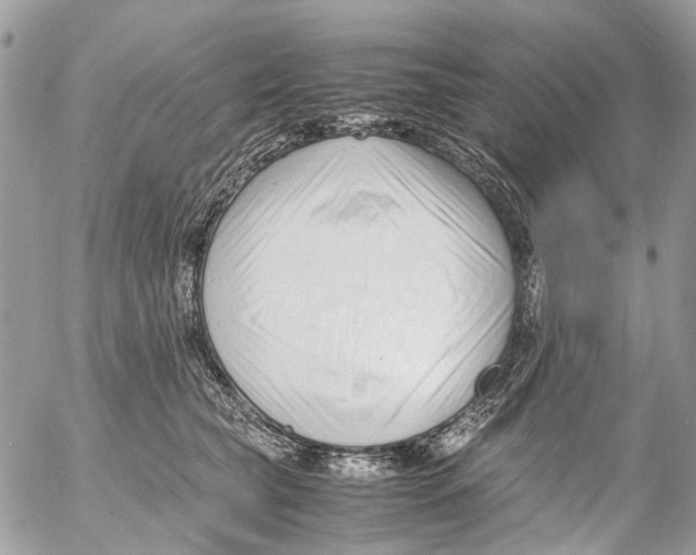 X0000053070565200508081223