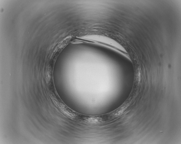 X0000053070566200508081223