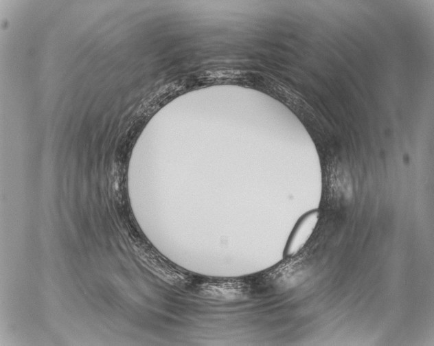 X0000053070567200508081223