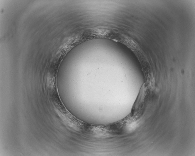 X0000053070568200508081223