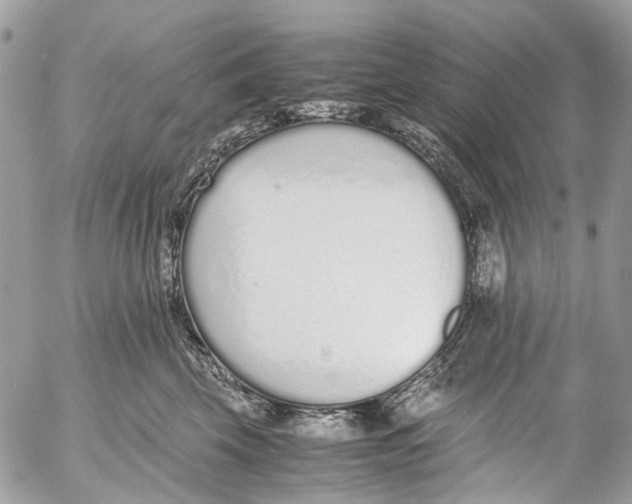 X0000053070569200508081223