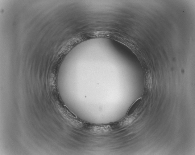 X0000053070571200508081223