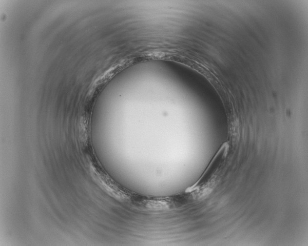 X0000053070572200508081223