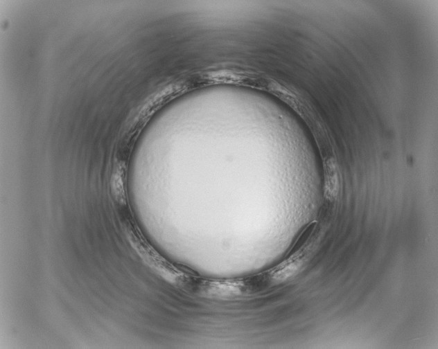 X0000053070573200508081223