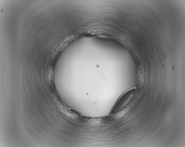 X0000053070574200508081223