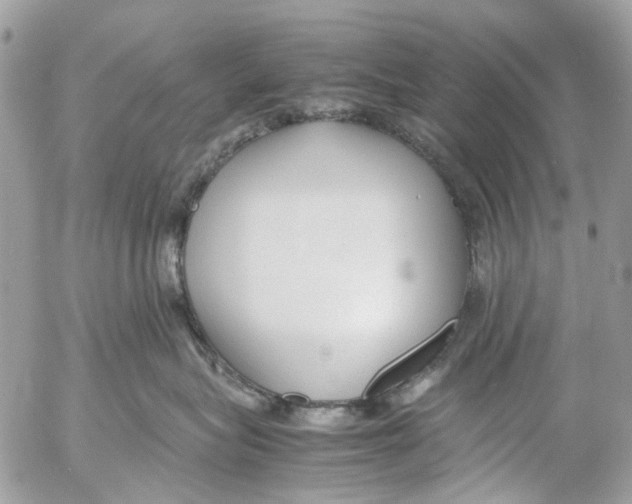 X0000053070575200508081223