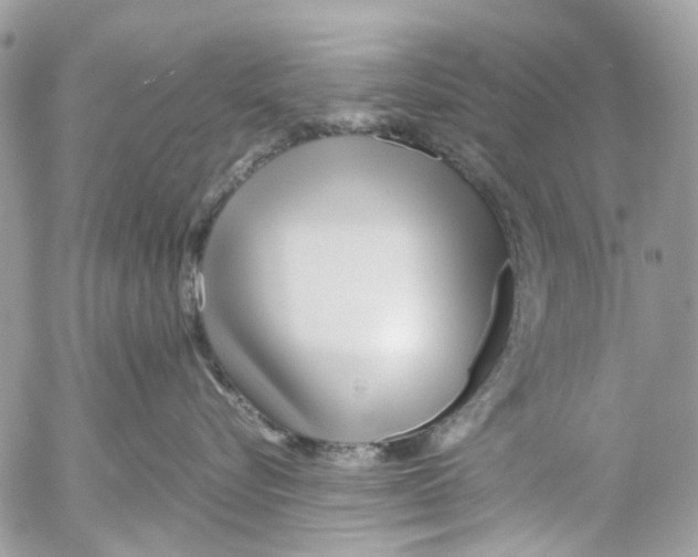 X0000053070576200508081223