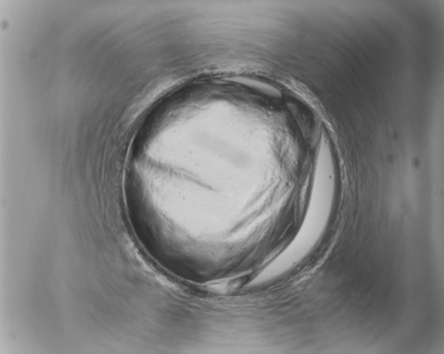 X0000053070577200508081222