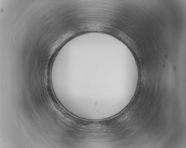 X0000053070578200508081222