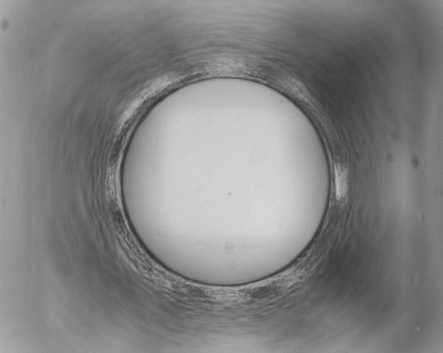 X0000053070579200508081222