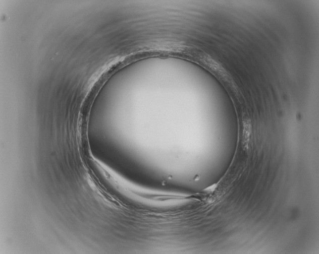 X0000053070580200508081222