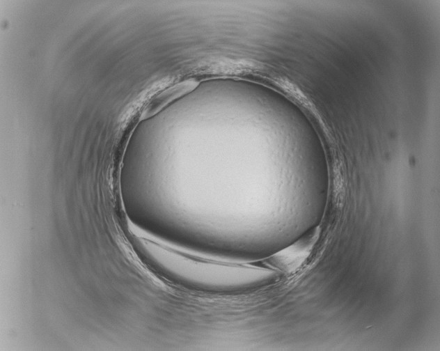 X0000053070581200508081222