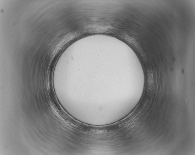 X0000053070582200508081222