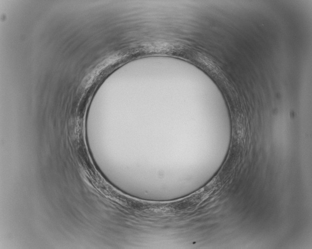 X0000053070583200508081222