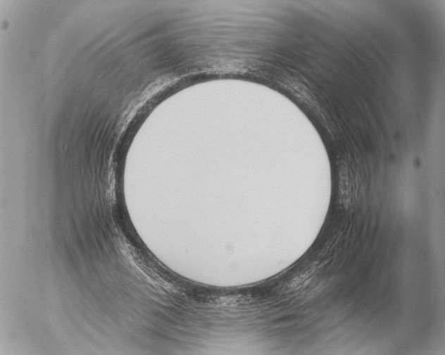 X0000053070584200508081222