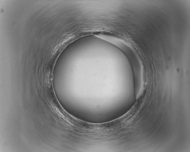 X0000053070585200508081222