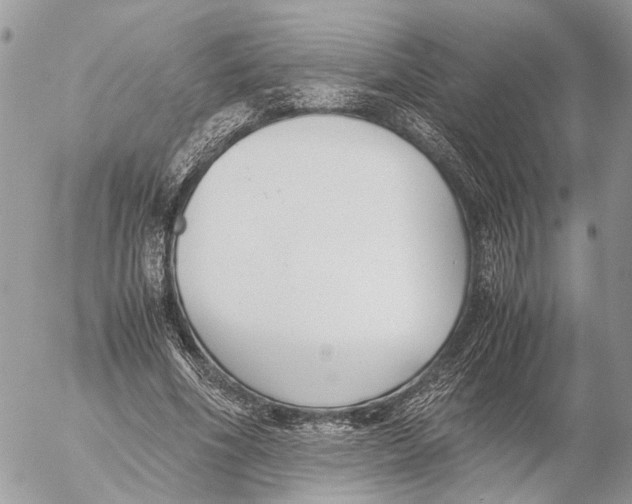 X0000053070586200508081222