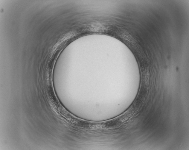 X0000053070587200508081222