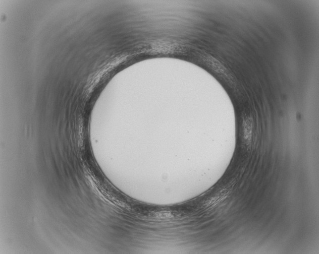 X0000053070588200508081222