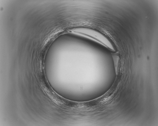 X0000053070589200508081222