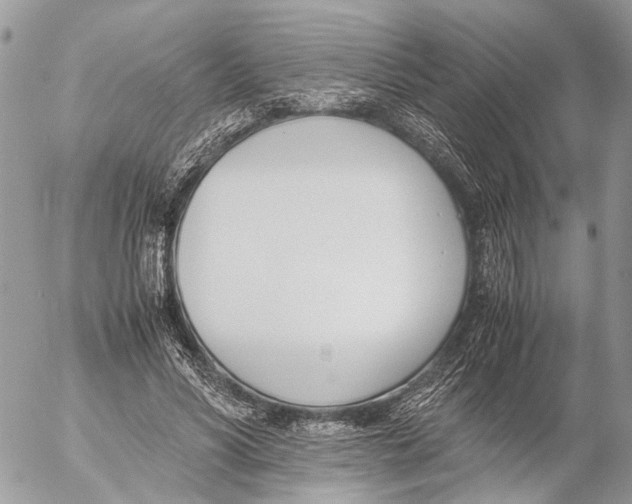 X0000053070590200508081222