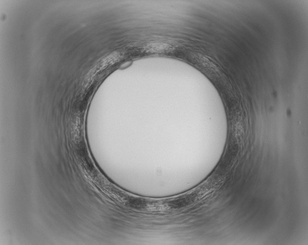 X0000053070591200508081222