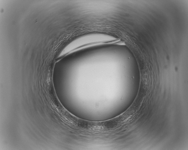 X0000053070593200508081222