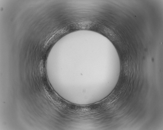 X0000053070594200508081222