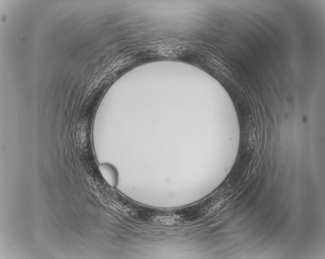 X0000053070595200508081222