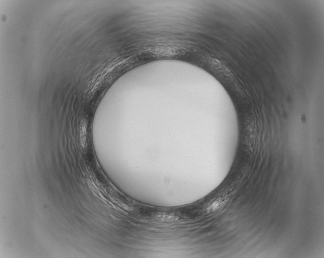 X0000053070596200508081222