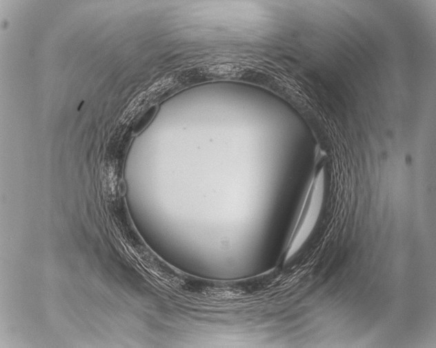 X0000053070597200508081222