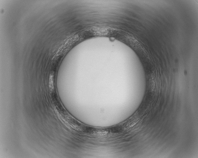 X0000053070598200508081222