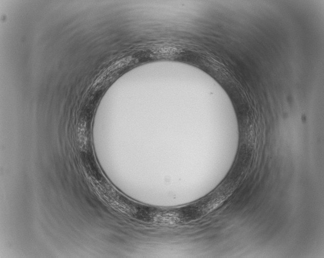 X0000053070599200508081222