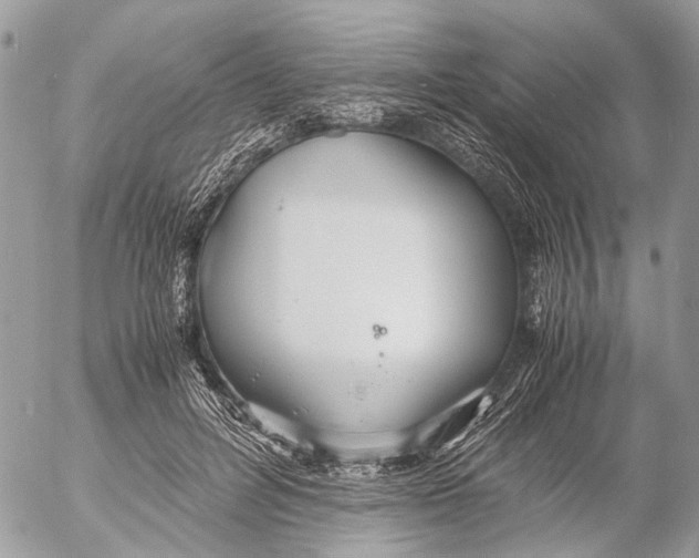 X0000053070600200508081222