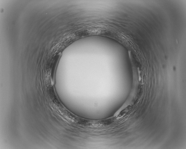 X0000053070601200508081222